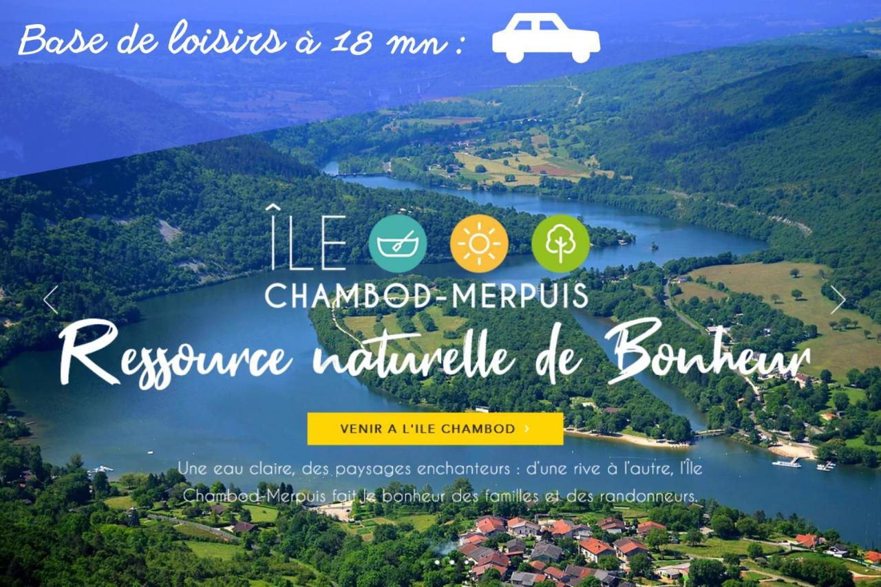 L'Emeraude - 1 A 4P - Wifi Fibre - Parking Gratuit Pont-dʼAin Exteriér fotografie